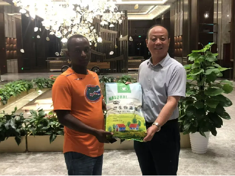 1729568007307849.png image.png